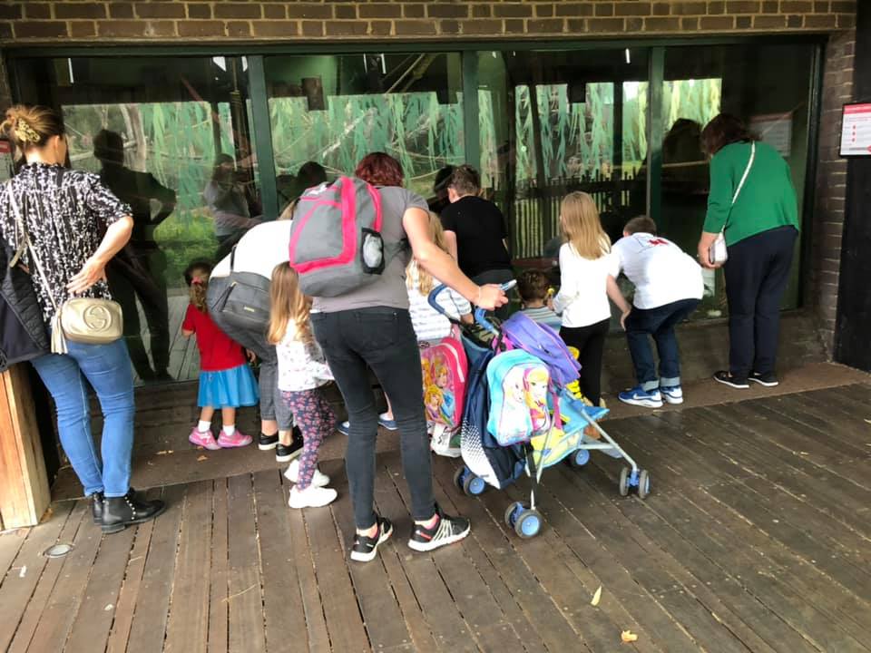 London Zoo Trip - September 2019